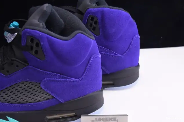 Kicktheory Jordan Grape Retro Alternate Air 136027-500 5 0531